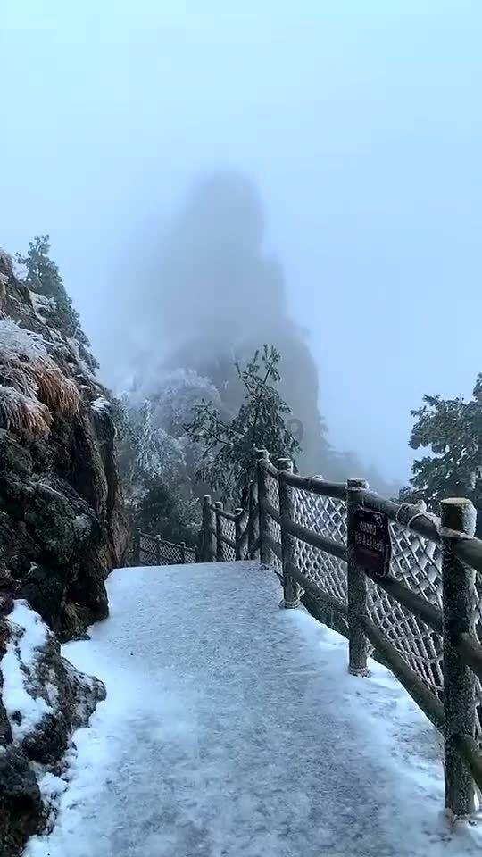 春雨直播app