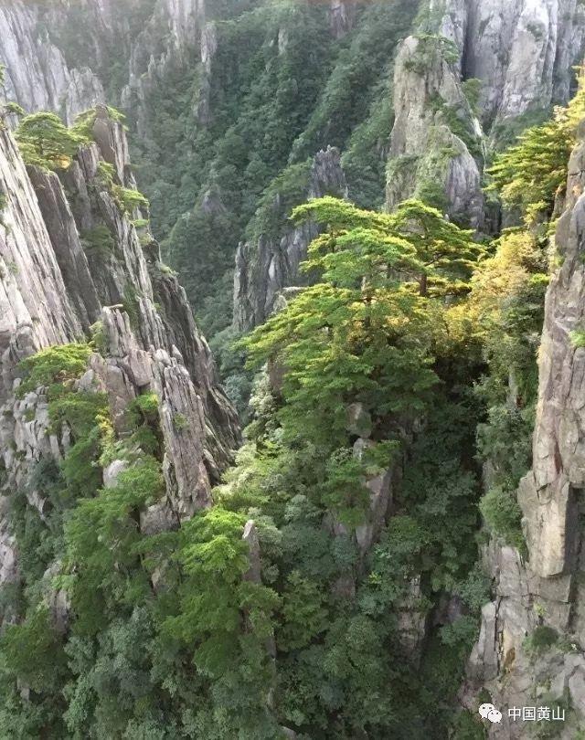 88影视
