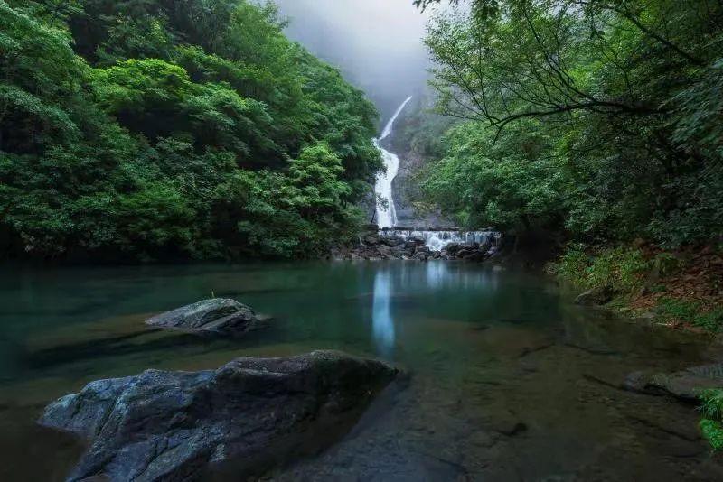 春雨直播app